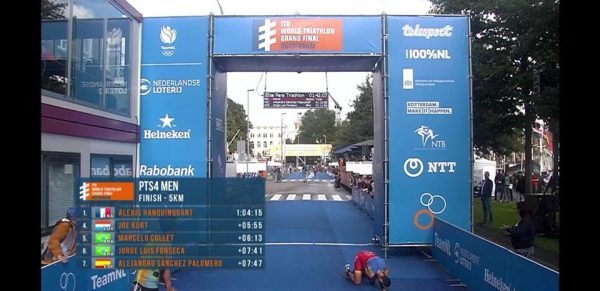 meta alex rotterdam 2017